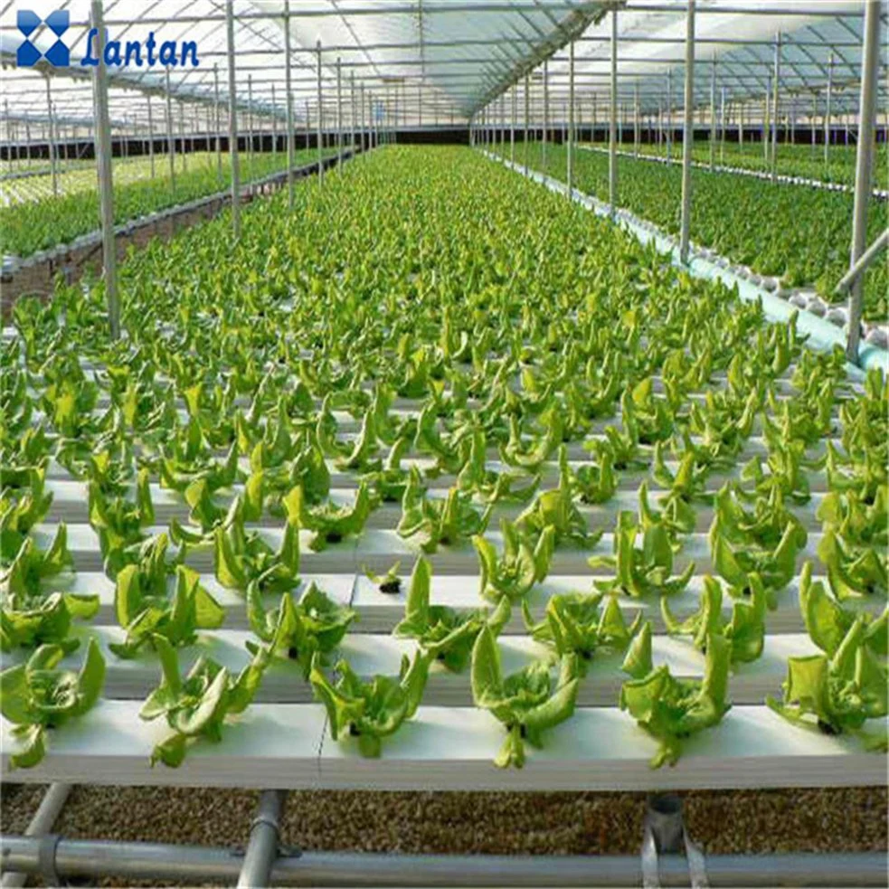 Vertikales hydroponisches Kanalsystem NFT hydroponisches System für Greenhosue Home Garden Pflanzen