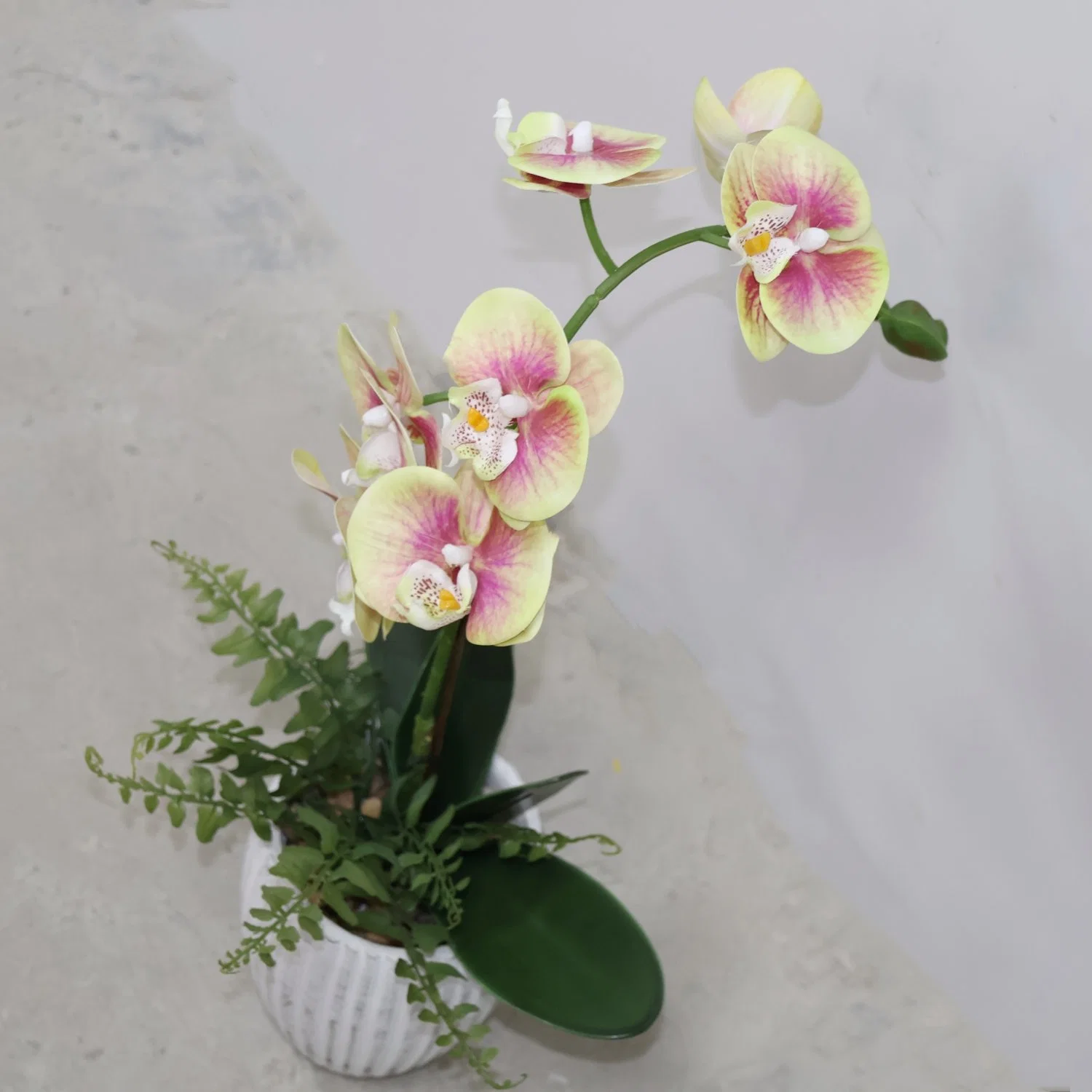 High quality/High cost performance  Silk Flower Phalaenopsis Orchid Arrangement Plastic Artificial Flower Home Decoration