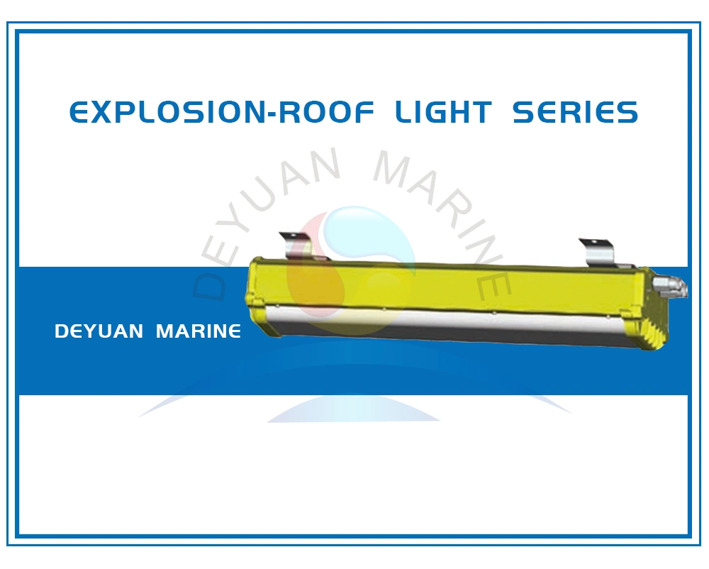 Marine Explosion Proof waterproof Fluorescent Pendant Lamp Fixture 2X20W