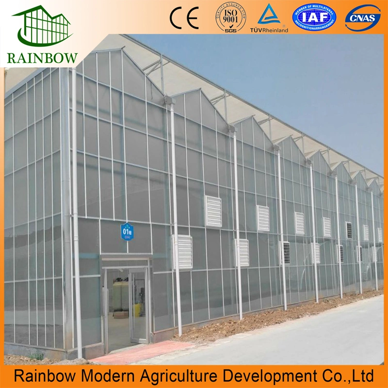 Commercial Modern Agricultural Smart 8mm Polycarbonate Greenhouse with Hydroponics for Vegetables and Flowers