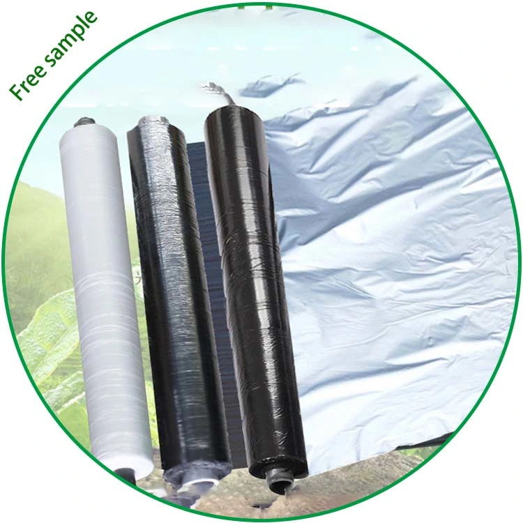 20 Micron 25 Micron Agriculture Mulch Film 20 Micron Silver Black Plastic Mulch Layer for Sale