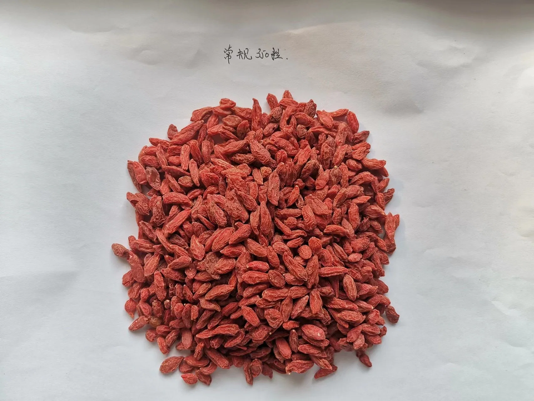 Dried Goji Berries 2023 Crop Ningxia Healthy