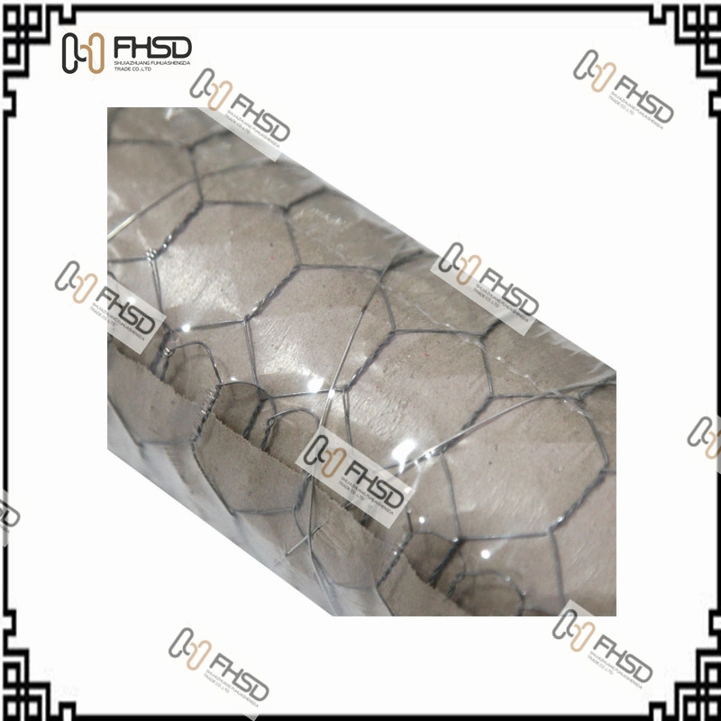 Edelstahl Draht Twist Hexagonal Gabion Box/Landwirtschaft Schutz Mesh / Draht Nagel /Stacheldraht