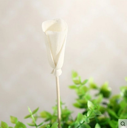 Auditorias de fábrica de vender a sola flor para difusor de cana