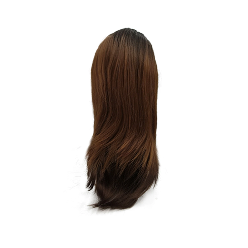 Ready to Ship Chinese Human Hair Lace Front Wig Wholesale/Supplier Factory Straight Raw Virgin Hair Lace Frontal Bob Wig