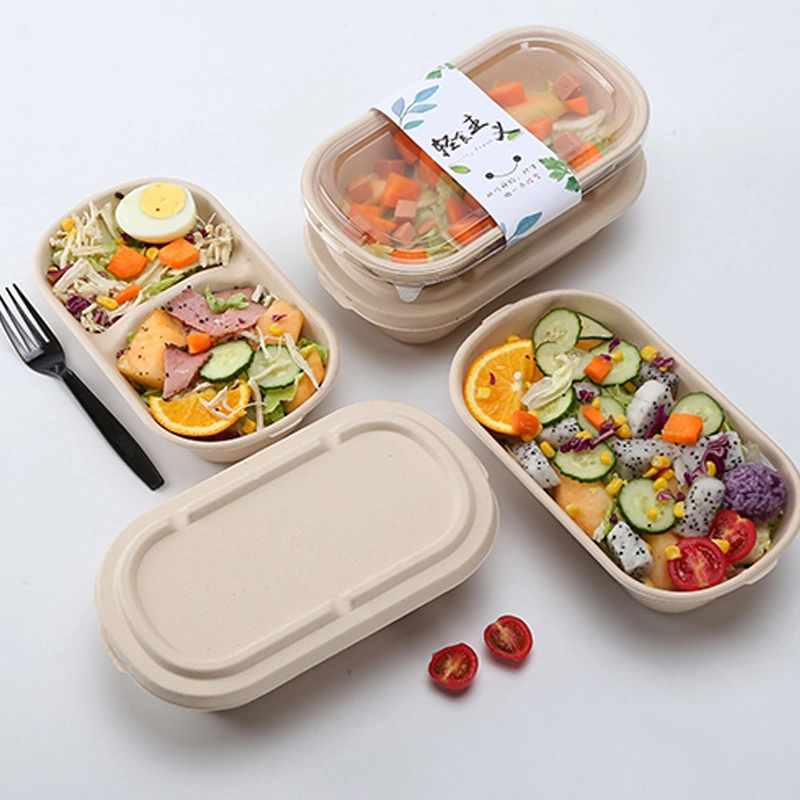 Biodegradable Natural Food Packaging Bagasse Food Container Oval Salad Tray with Lid