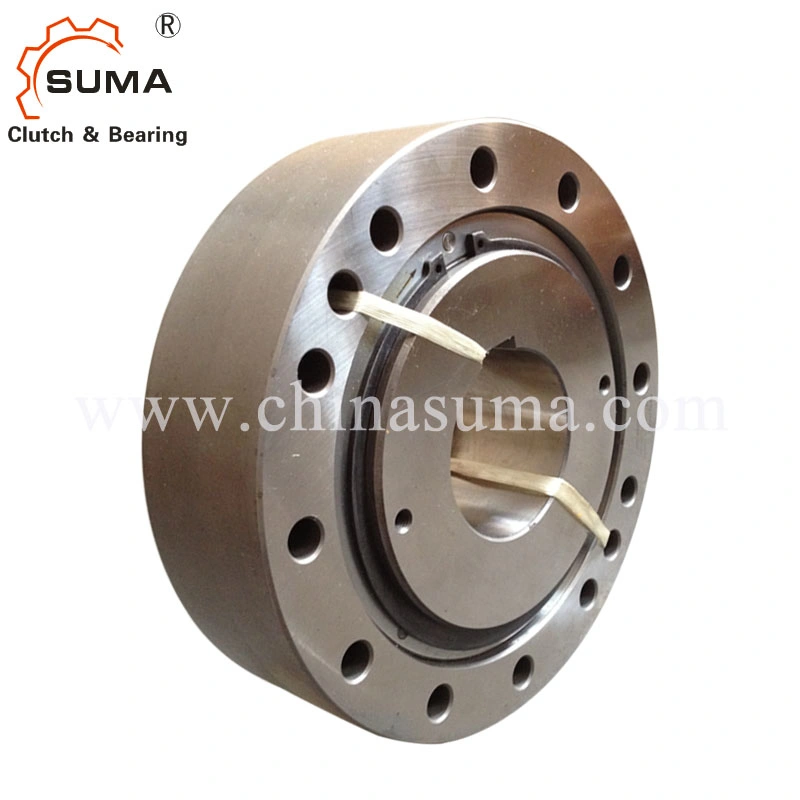 Fxm Integrated Freewheels Bearing Backstop Clutch (Sprag clutch)