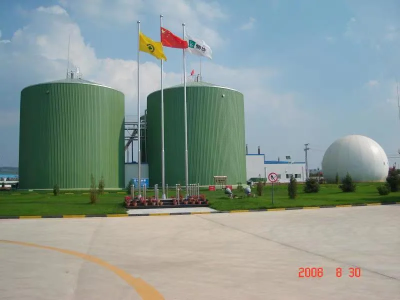 1500m3 Internal Circulation Anaerobic Biodigester for Waste Pharmaceutical Water