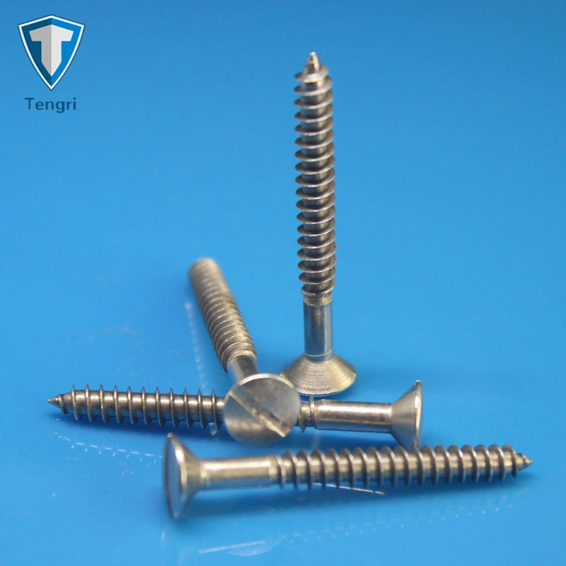 Fabricante de sujetador de alta calidad Tengri 18-8 #2-#18 Todos los tamaños de cabeza plana ranurado Tornillo de madera Tornillo autorroscante DIN DIN DIN979695