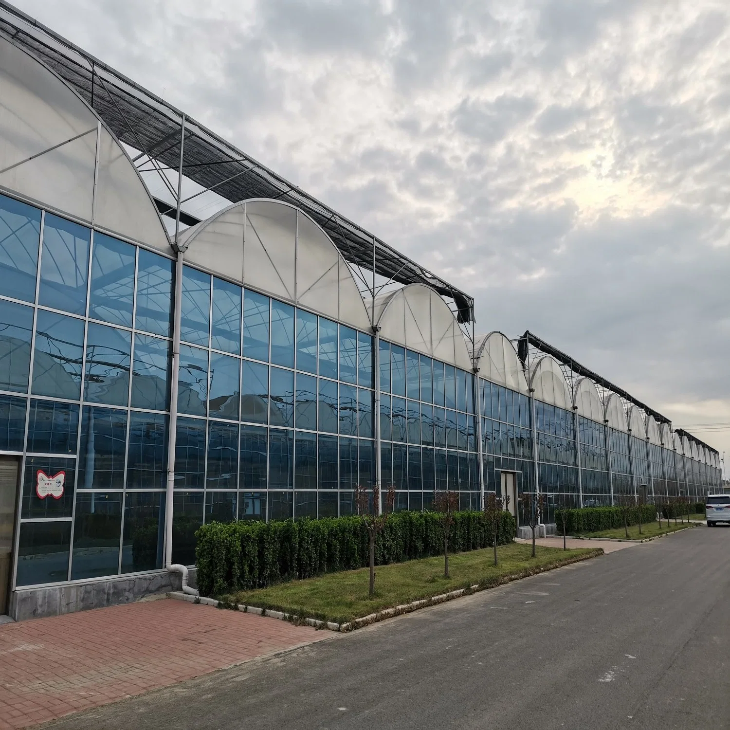 Modern Style Greenhouse Covered with Glass for Fruits