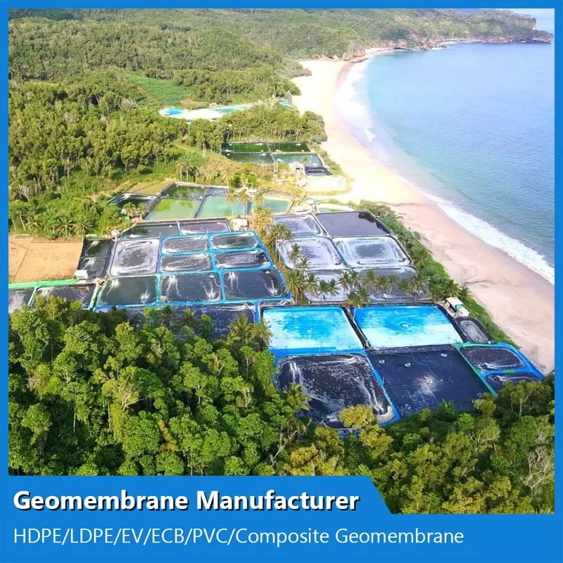 0,2 - 2mm géomembranes Film pour lac artificiel de la géomembrane HDPE Pond Liner