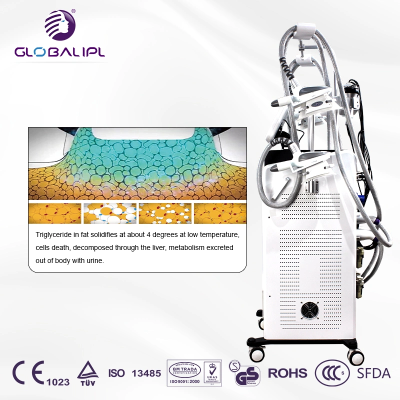 De beleza Salão Máquina Equipamento Cryolipolysis todo o Corpo de congelamento de gordura gordura Equipamento Cryolipolysis congelados