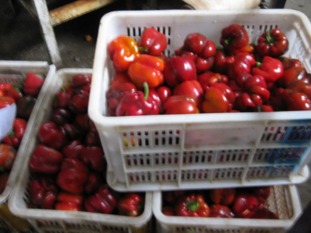 Las mitades de pimiento rojo dulce en el frasco de vidrio