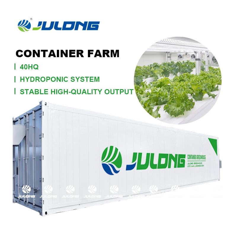 40FT Medical Planting Shipping Herbs Grow Room Container Farm