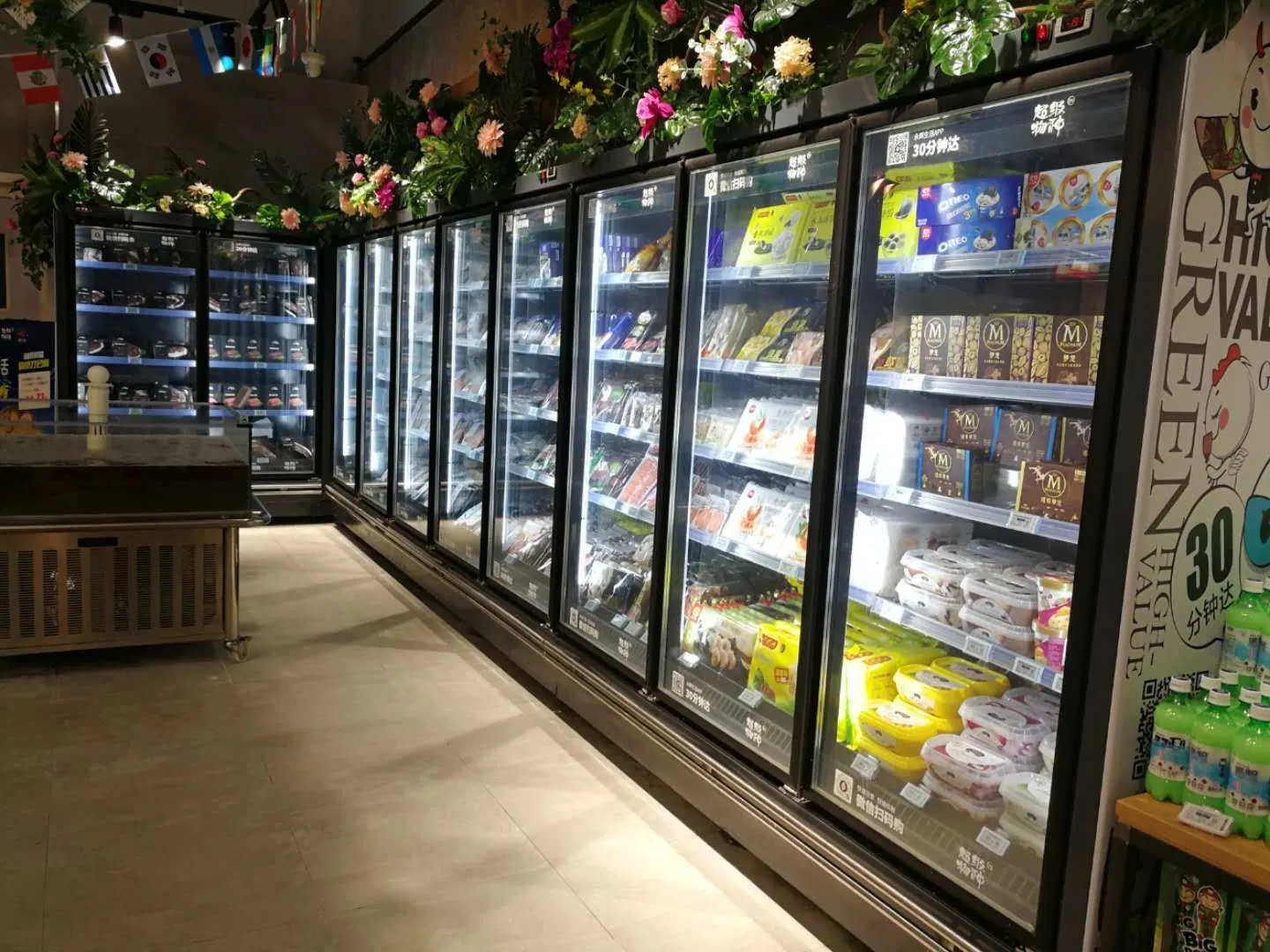 Commercial Beverage Cooler Glass Doors Display Refrigerator and Freezer with CE Certificate