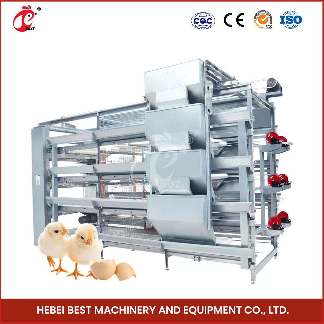 Bestchickencage H Type Pullet Hen Cage Breeder Cage China Gamefowl Pullet Cages for Sale Factory Sample Available Steel Wire Material Pullet Cage