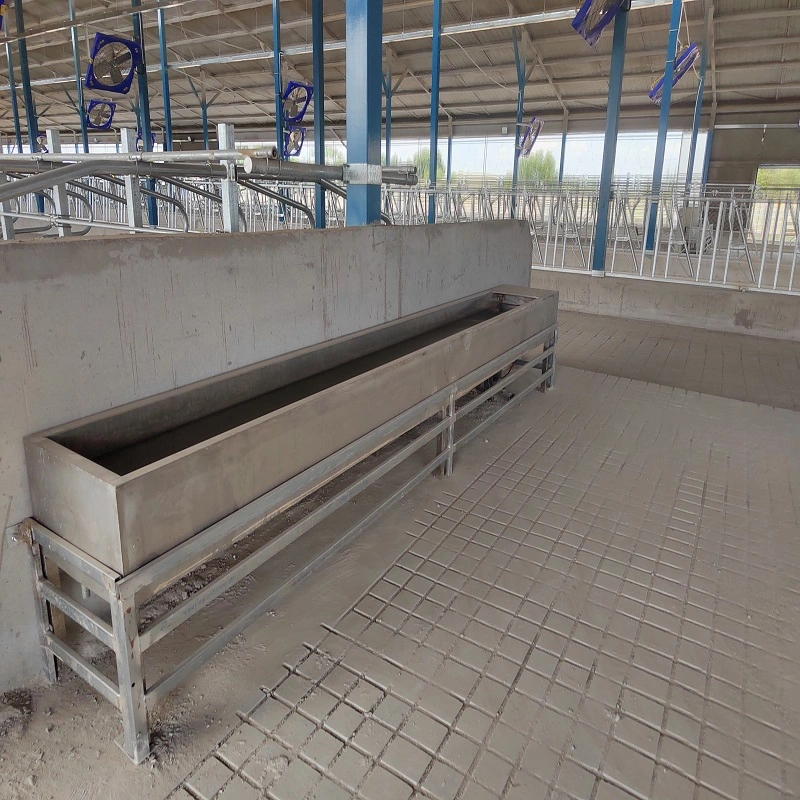 Customized Large Stainless Steel Cattle/ Calf/Cow/Sheep/Horse Water Feeding Trough with Legs Livestock Drinking Feeder Trough Made in China