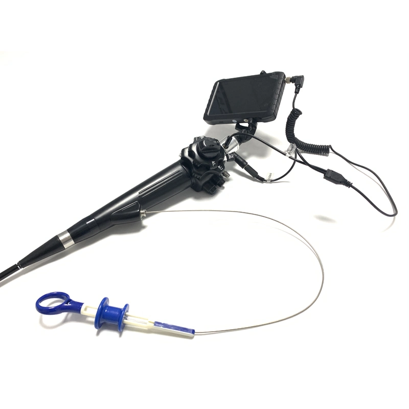 Vet Portable Digital Video Ent Endoscope Flexible Veterinary Portable Video Endoscope with Mini Pump