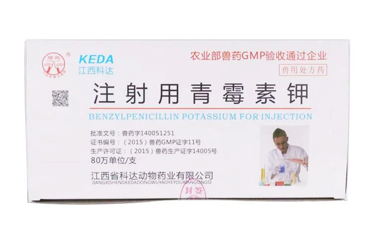 Penicillin Potassium for Injection for Various Infections Caused by Abscess, Bacteremia