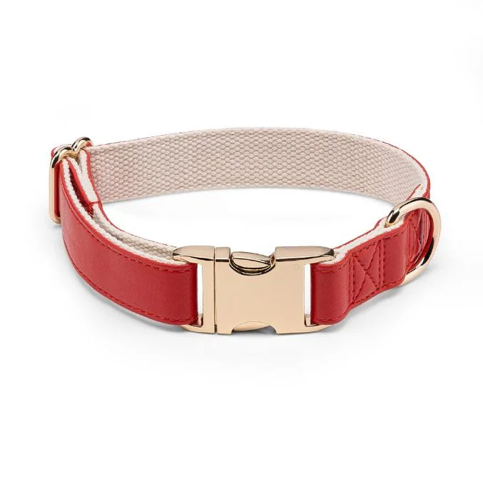 Soft Leather Dog Collar with Gold Adjustable Metal Buckle