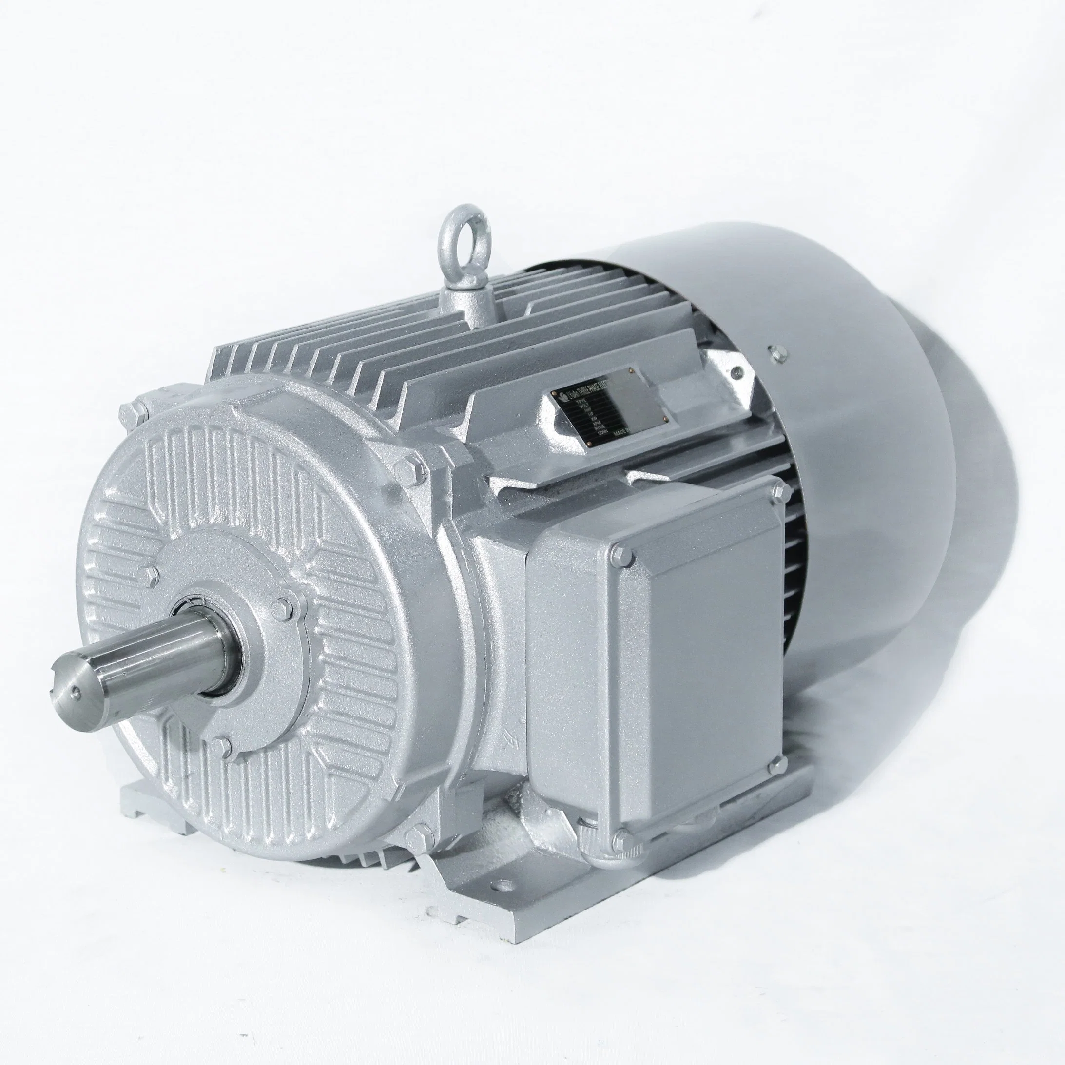 Y2/Y Series Middle Part Terminal Box Cast Iron Frame Silver Color Three Phase Electric Motor 22kw