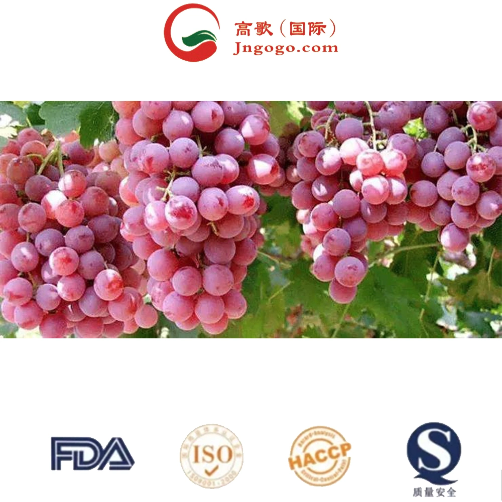 Delicious Grape Fruits for Sale Whole Sale