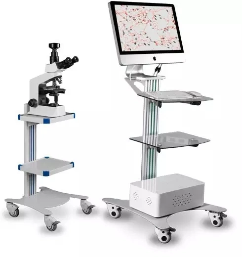 Krankenhaus Andrologie Tragbare Laptop Sperma Quality Analyzer Casa Sperma Analyse Gerät