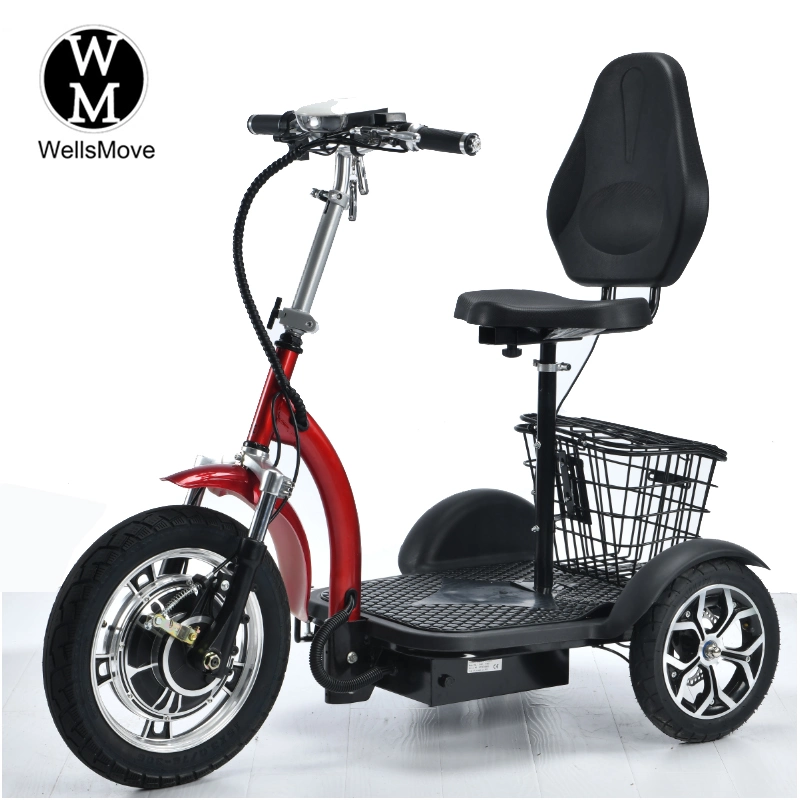 Triciclo pasajero eléctrico 500W Trike 3 ruedas Scooters de movilidad eléctrica Citycoco