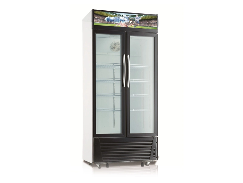 558liters Vertical Showcase Sidy by Side, 110V-240V/50-60Hz, Wireshelves, Lock and Keys