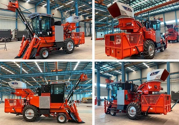 Saccharum Harvester, Saccharum Combine Harvester, Saccharum Harvesting Machine