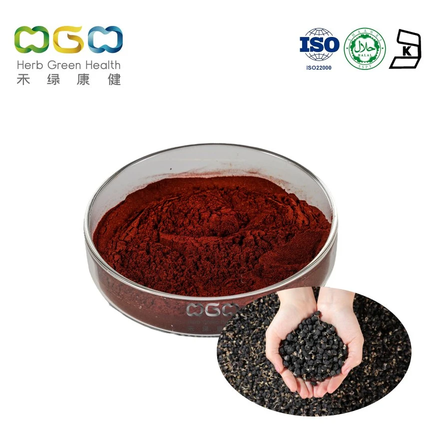 Black Anthocyanidin Favorable Fruit Powder Anthocyanin >2% Black Goji Berry Extract