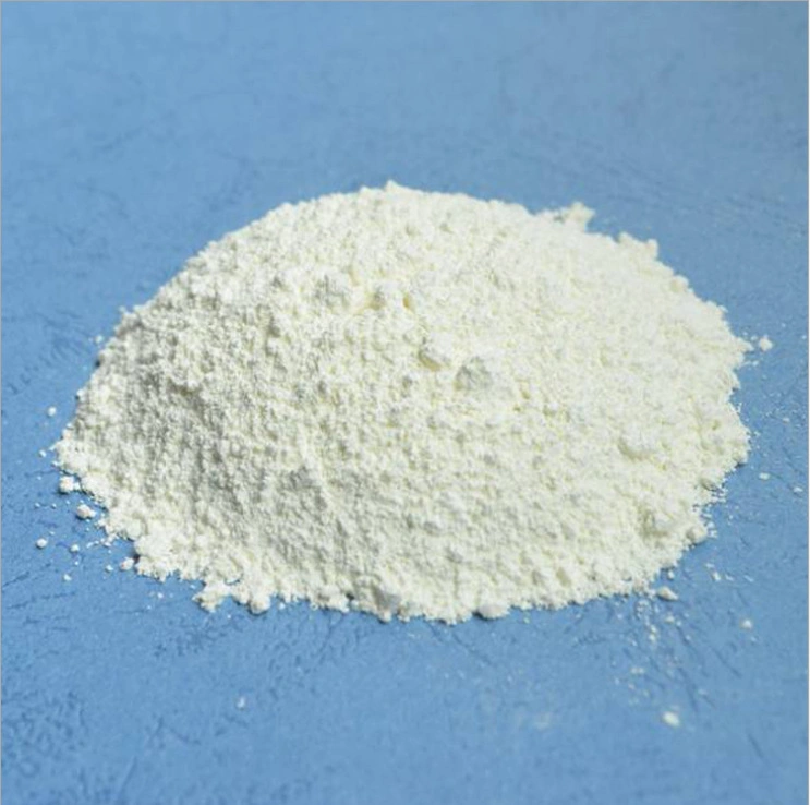 TiO2 Wholesale/Supplier Price White Pigment Plastic/Paint/Paint/Rubber Titanium Dioxide