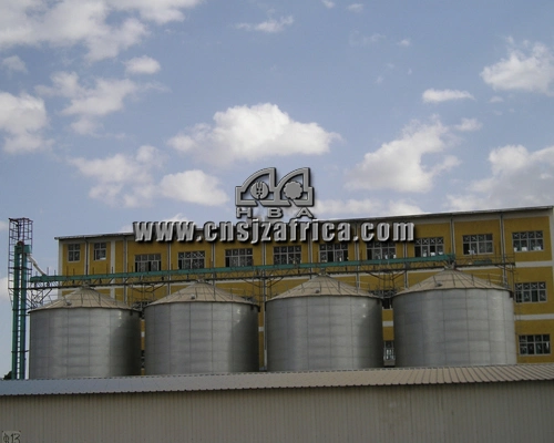 10000t Flachboden Weizenstahlsilos Automatische Silos