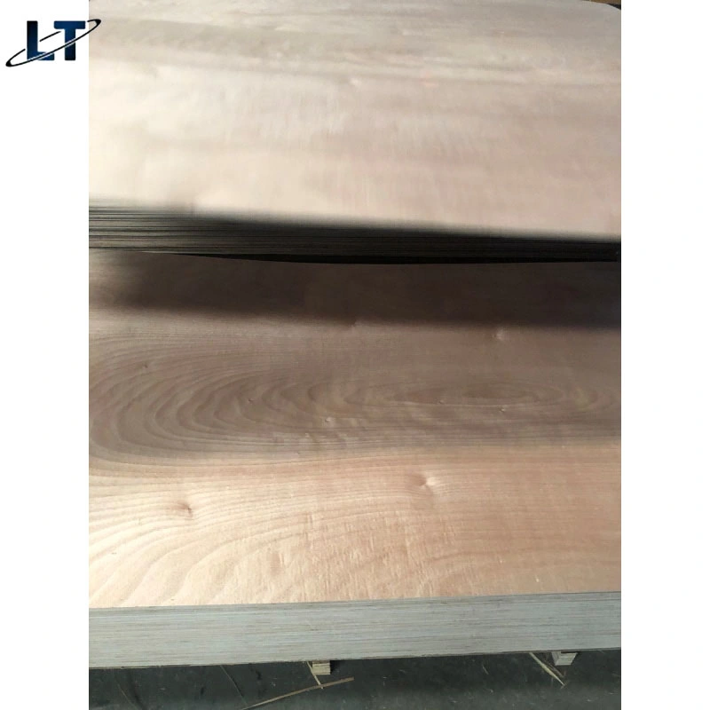 Linyimany Types Construction Decoration Maple Hardwood Wood Timber