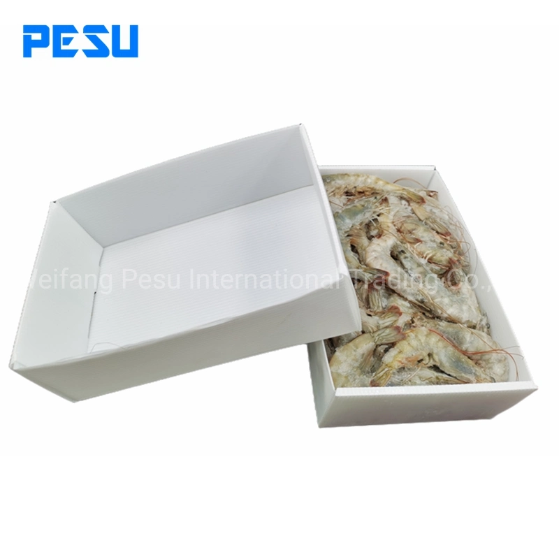 Láminas de plástico corrugado para el marisco fresco caja de embalaje