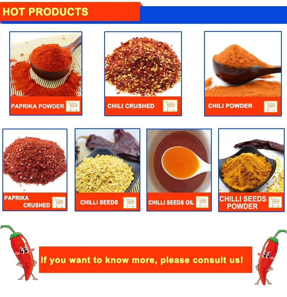 HACCP Dried Chilli Pepper Spices Food Wholesale/Supplier Dry Coriander Seeds
