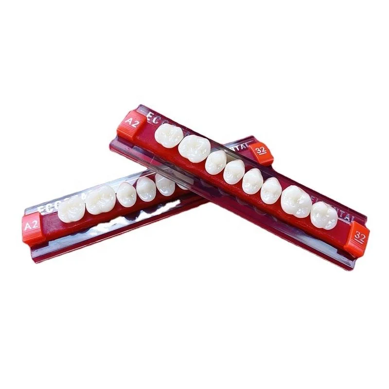 Usine Nouveau fourniture de résine acrylique dents artificielles fausses dents ensemble Dents antérieures postérieures toutes Vita16 couleur