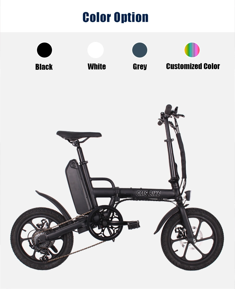 Vélo électrique pliable de haute qualité E-Bikes Chopper Vélo électrique W