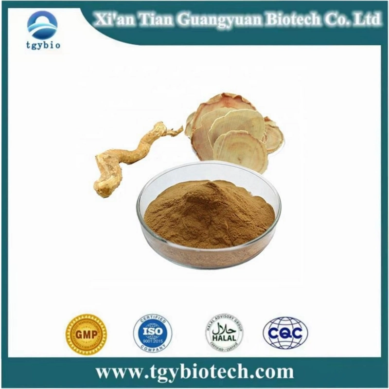 Factory Supply 100% Natural Tongkat Ali Extract Powder for Men&prime; S Healthcare