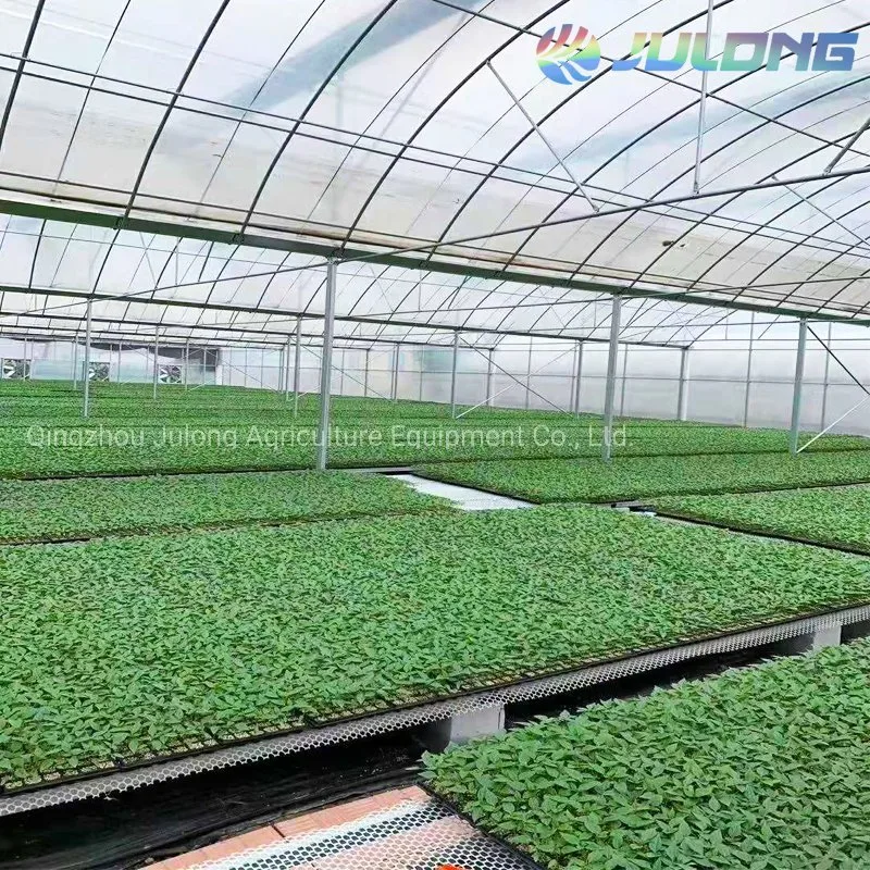 Multi-Span Film Arch Agriculture Greenhouse with Automatic Control System