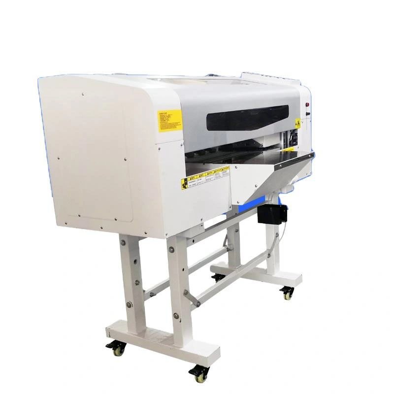 30cm 2 Head XP600 Hot Melt Powder Machine Dtf T-Shirt Printer for All Type Fabrics Textile Cloth