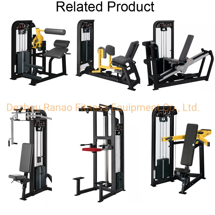 Hammer Home Gym Body Building Seated Chest Press Sports Equipment Exercise Chest Group Muscle Strength