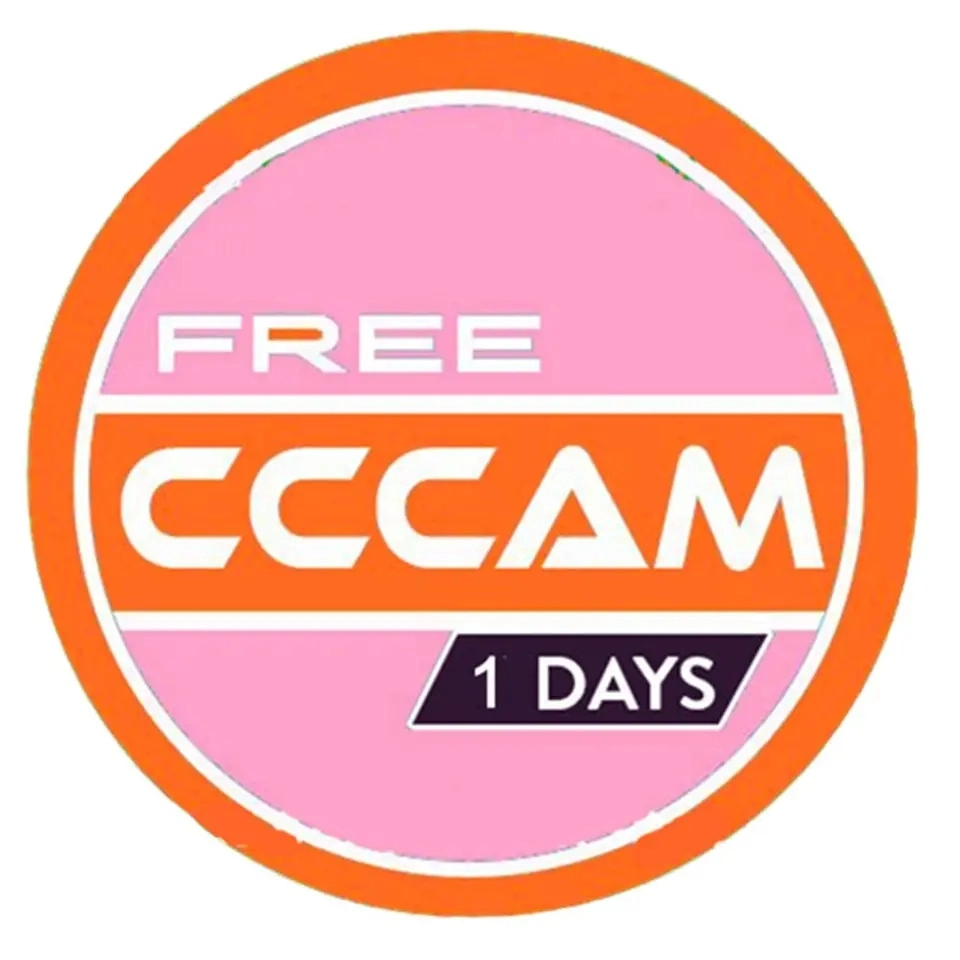 Egygold Cccam Clines for Europe Spain Portugal Poland Oscam Germany 7 Lines for Satellite TV Receiver