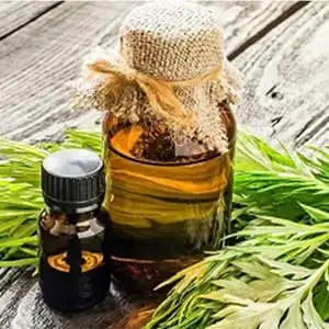 Buy/Import ISO Certified Armoise Essential Oil at Wholesale/Supplier Price