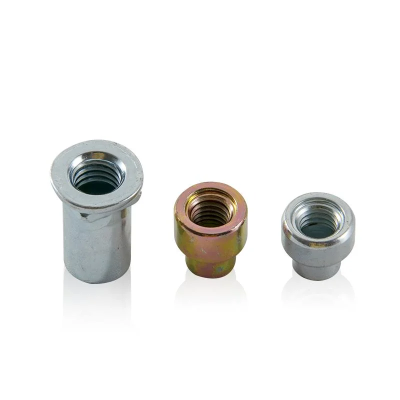 Professional Customize Stainless Steel Metal Extrusion Forging Bolts Nut Part Cold Forging