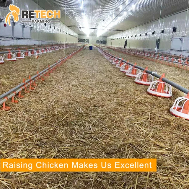 Factory sale H type automatic broiler poultry farm equipment