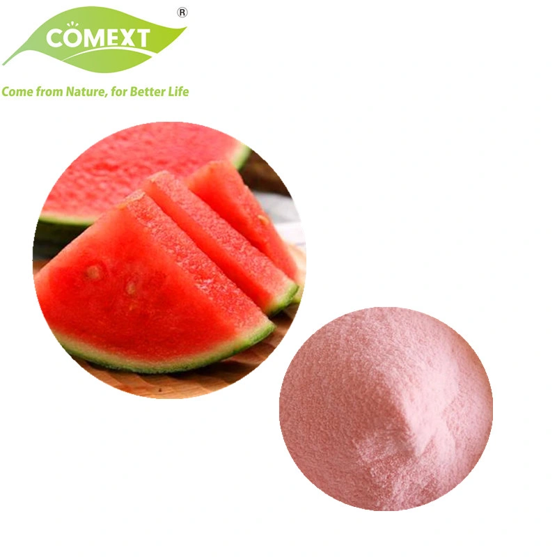 إضافات غذائية من المصنع إلى مستحضرات كومانتر 100% من مسحوق فواكه Pure Watermelon/عصير ميلون مسحوق