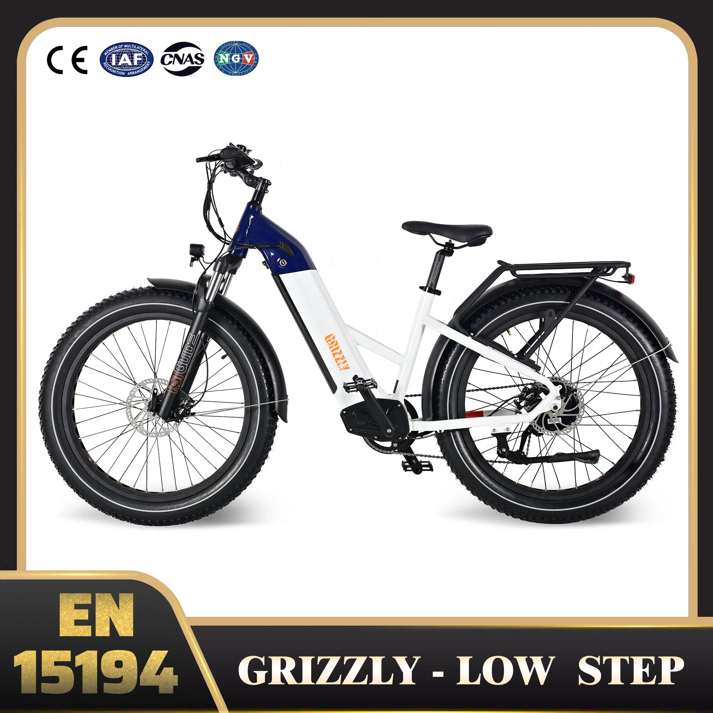 precio de fábrica OEM MTB 26 x 4,0 pulgadas de Noria Ebike