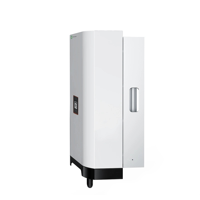 All-in-One Inverter Solution for Solar and Wind Energy Storage and Distribution