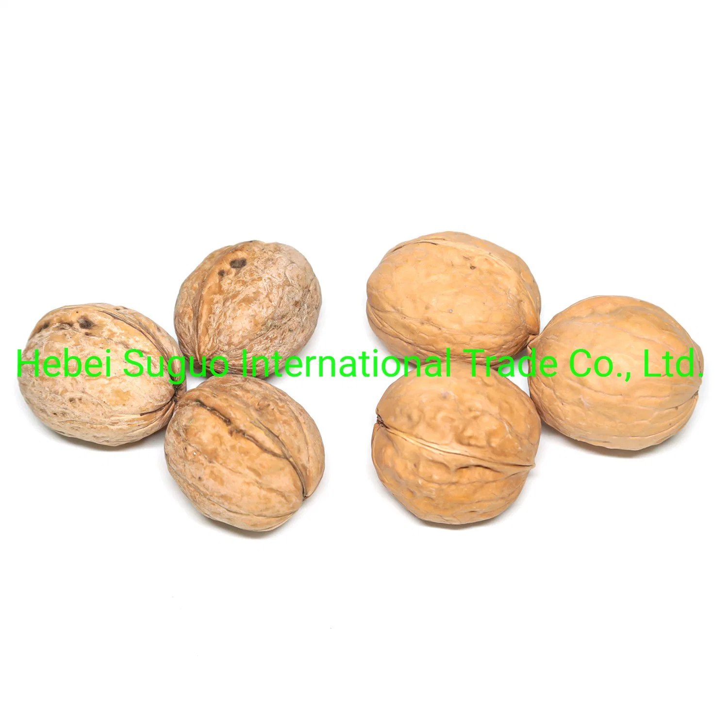 Chinese 185 33 Xiner Xinfeng Walnut and Walnut Kernels